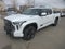 2025 Toyota Tundra i-FORCE MAX Platinum i-FORCE MAX
